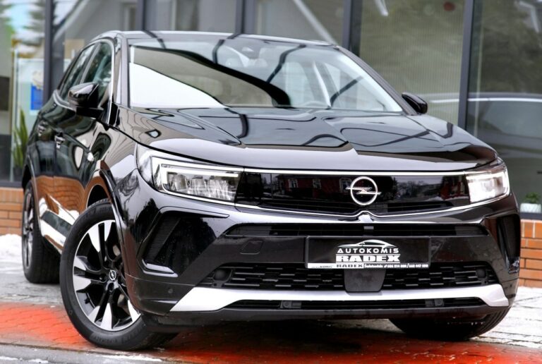 Opel Inny