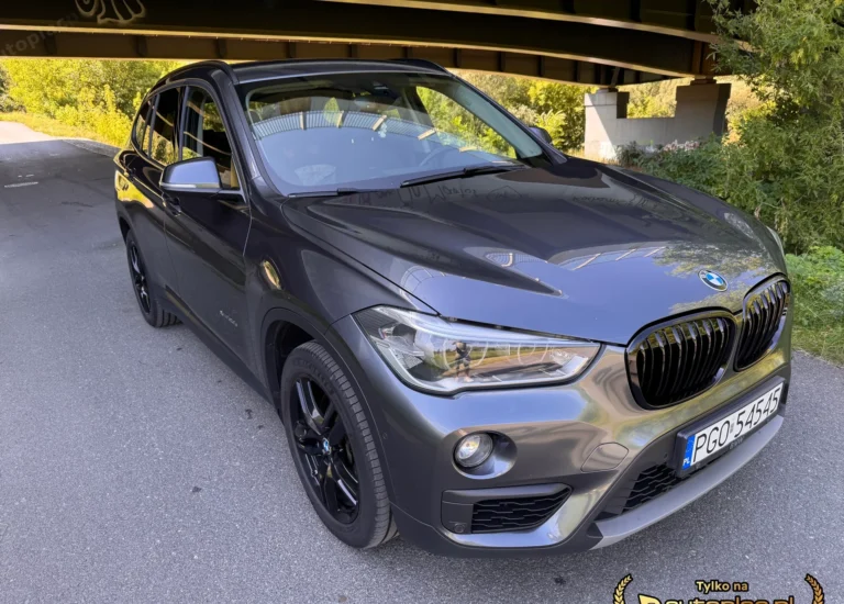 BMW X1
