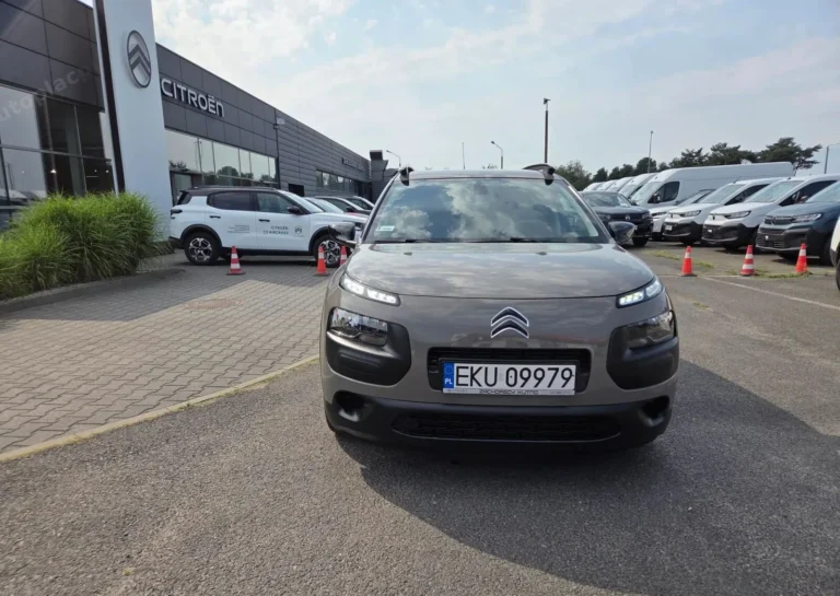Citroen C4 Cactus